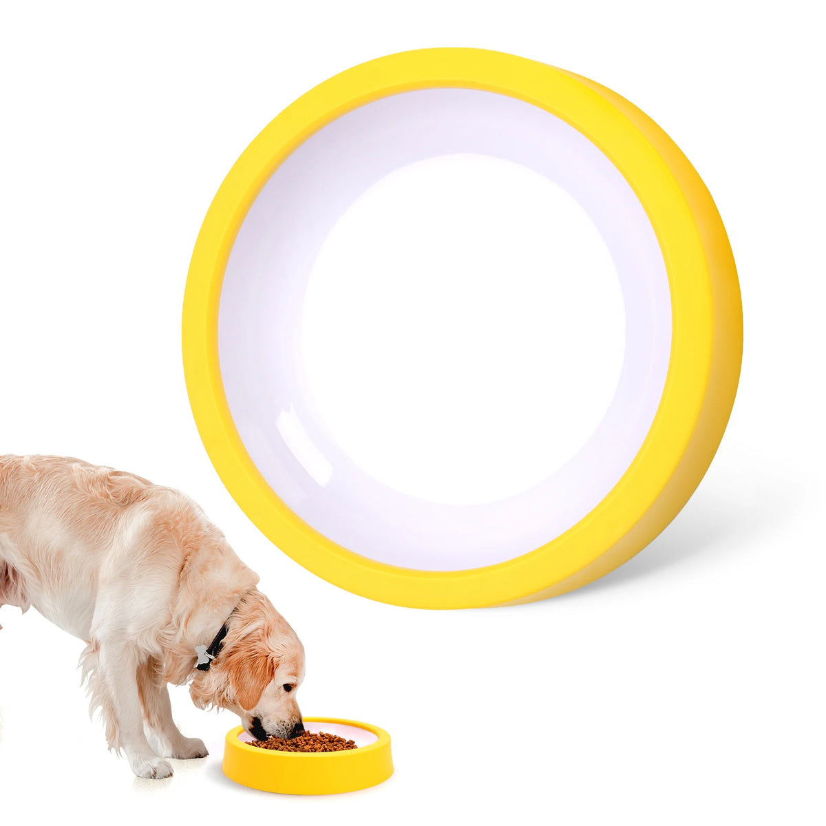 Non-Slip Slow Feeder Bowl for Pets