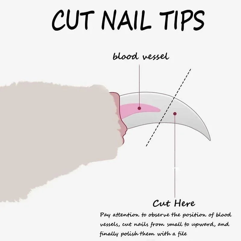 Pet Nail Clipper for Dogs & Cats