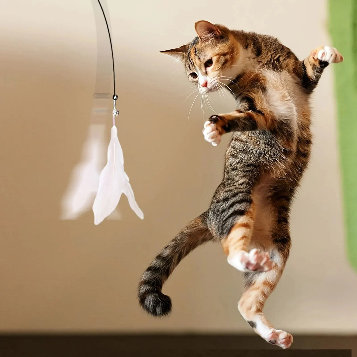 Suction-Cup Feather Cat Teaser