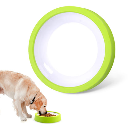 Non-Slip Slow Feeder Bowl for Pets