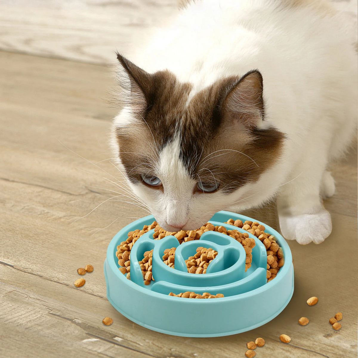 Non-Slip Slow Feeder Bowl for Pets