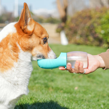 Portable 300 ml Pet Water Bottle