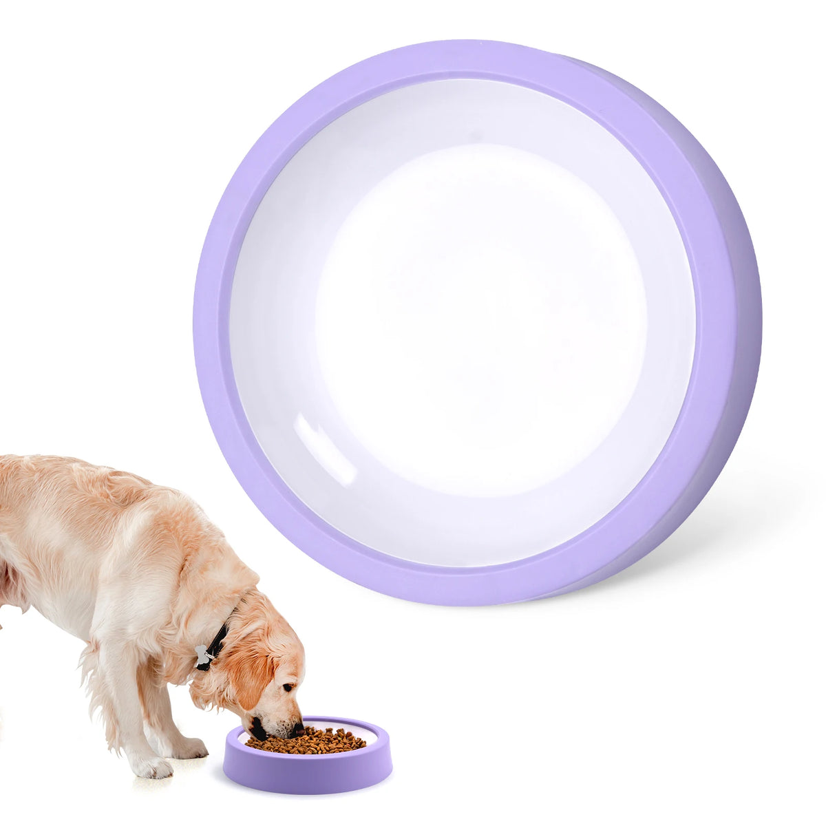 Non-Slip Slow Feeder Bowl for Pets