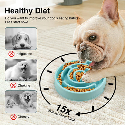 Non-Slip Slow Feeder Bowl for Pets