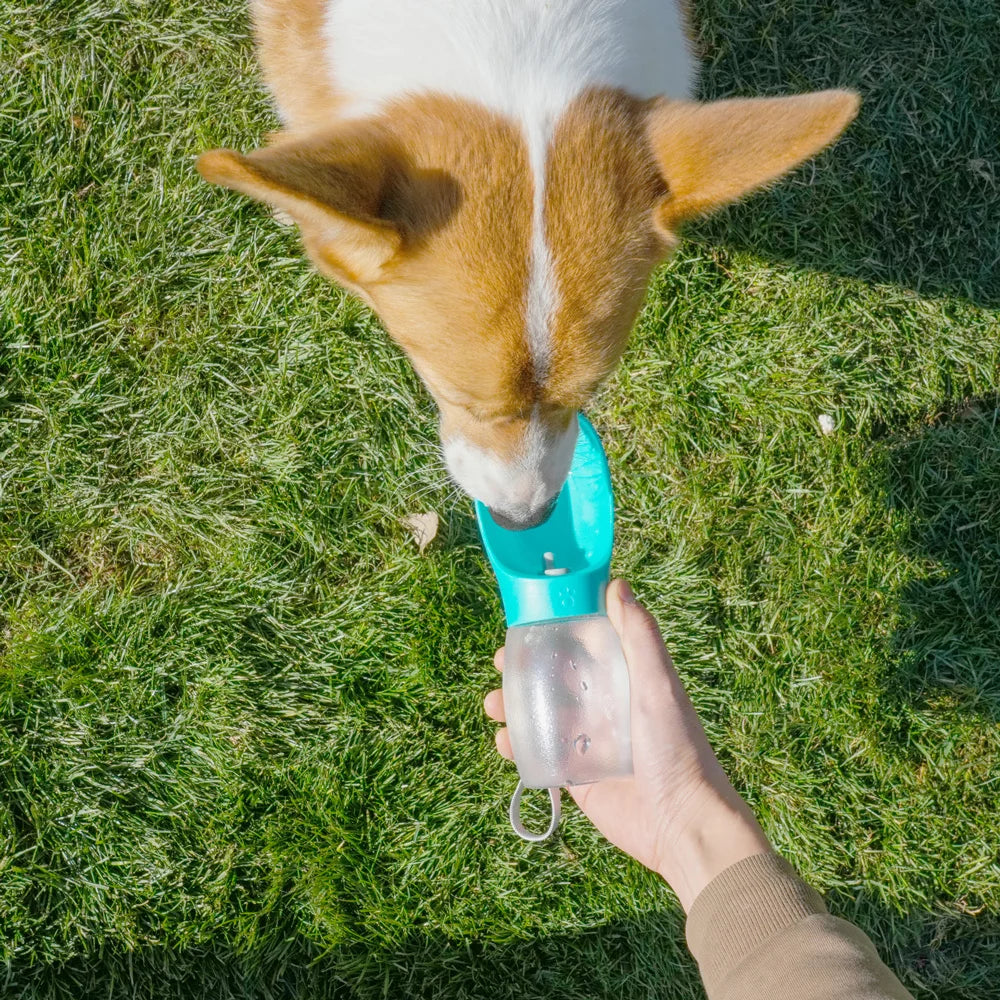 Portable 300 ml Pet Water Bottle