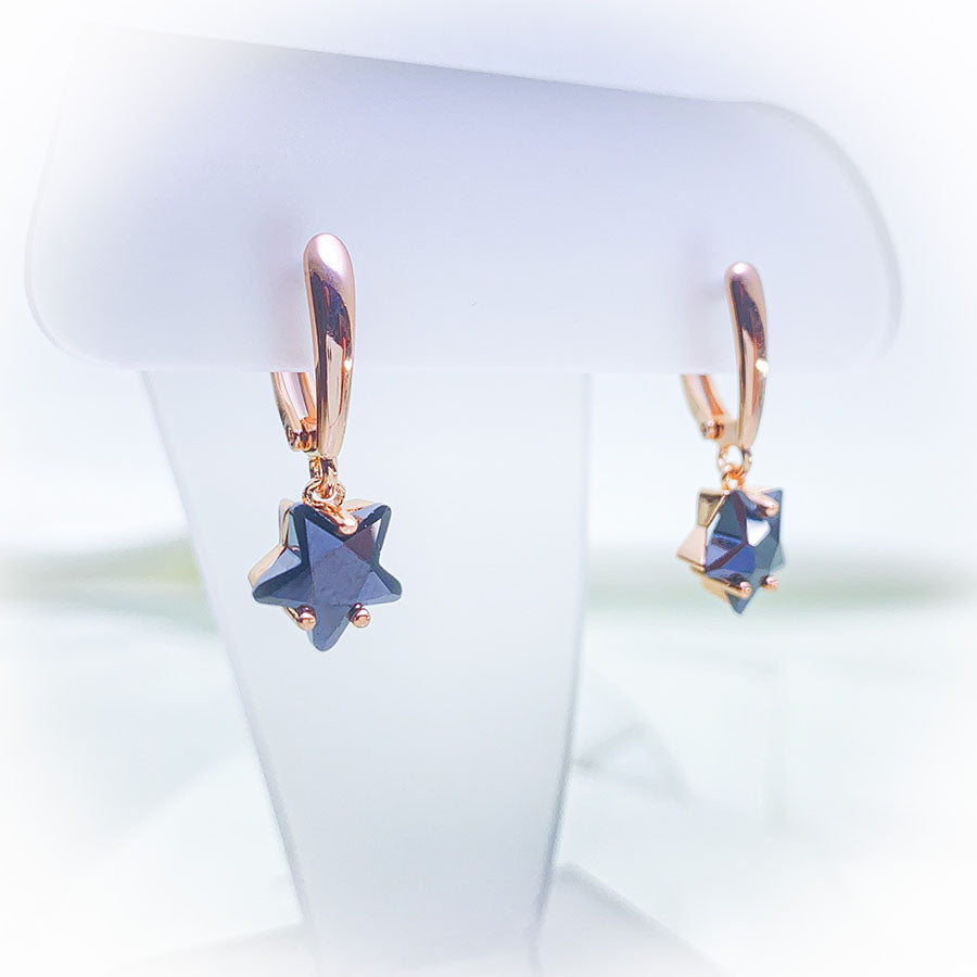 Stellar Shine Earrings